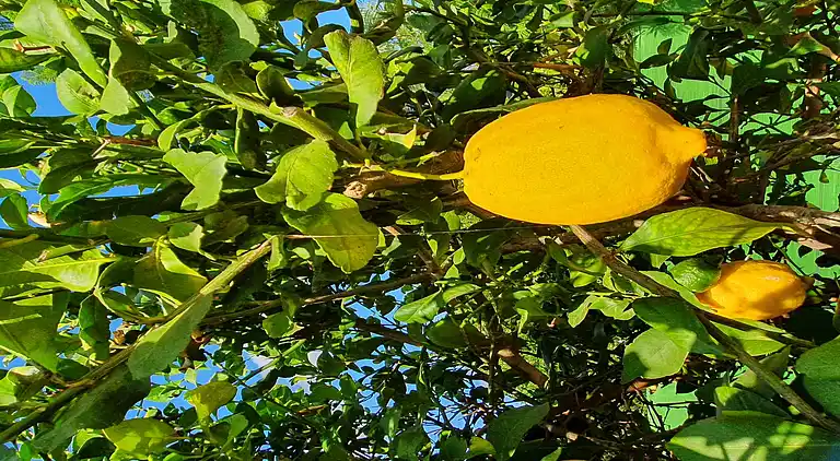 Villa in San Fulgencio