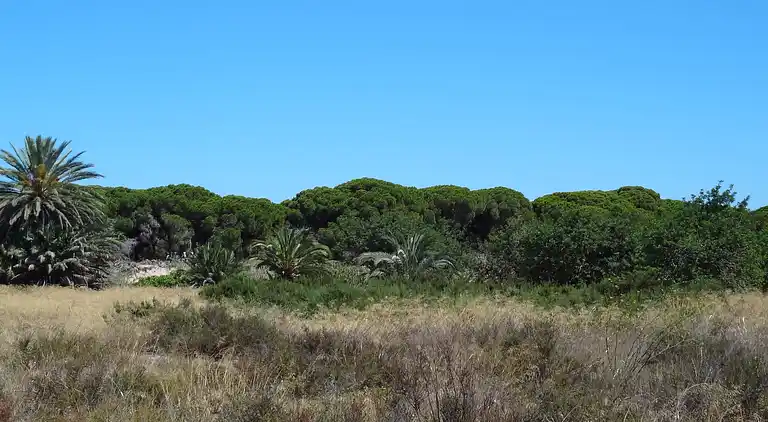 Villa in San Fulgencio