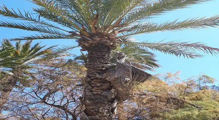 Villa in San Fulgencio