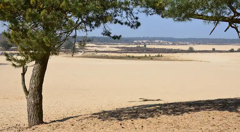 Sommerhus i Udenhout