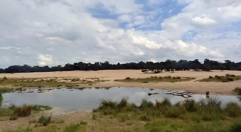 Sommerhus i Udenhout