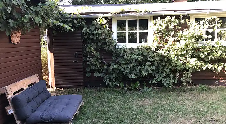 Hyggeligt sommerhus tæt på skov og strand