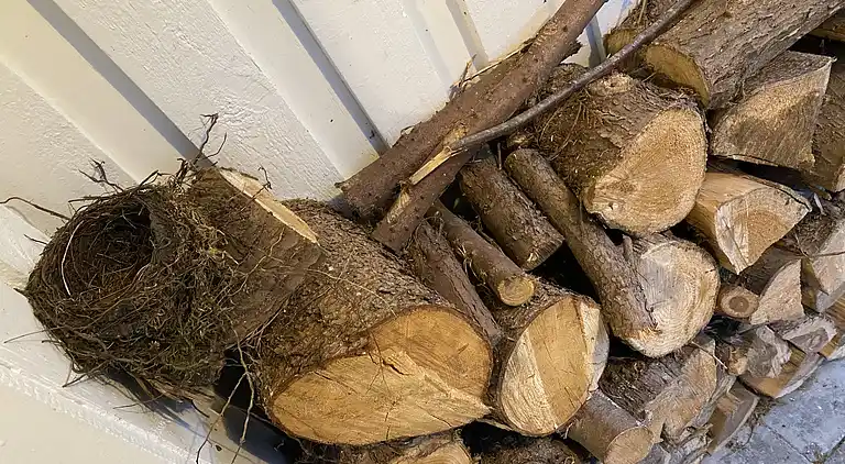 Idyllisch gelegenes Holzhaus an Wald und See