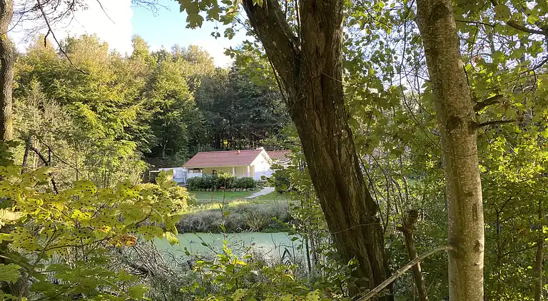 Idyllisch gelegenes Holzhaus an Wald und See