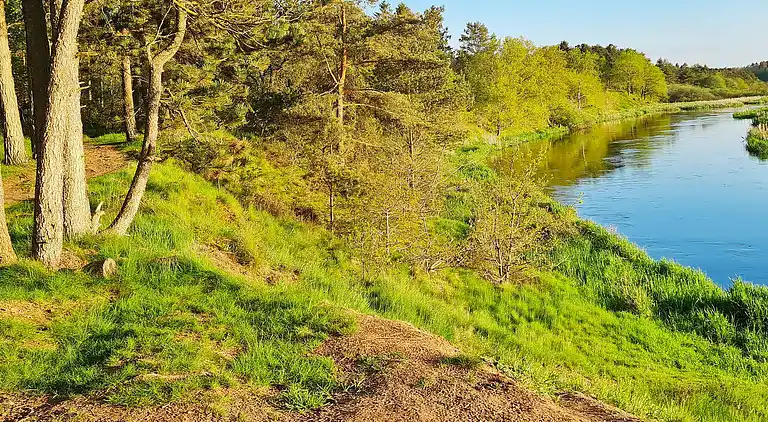 Sommerhus i Fårvang