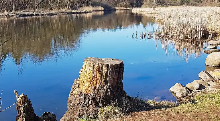 Sommerhus i Fårvang