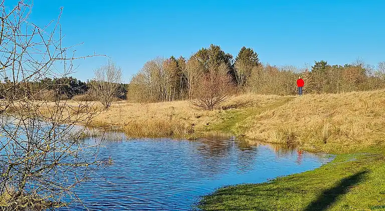Sommerhus i Fårvang