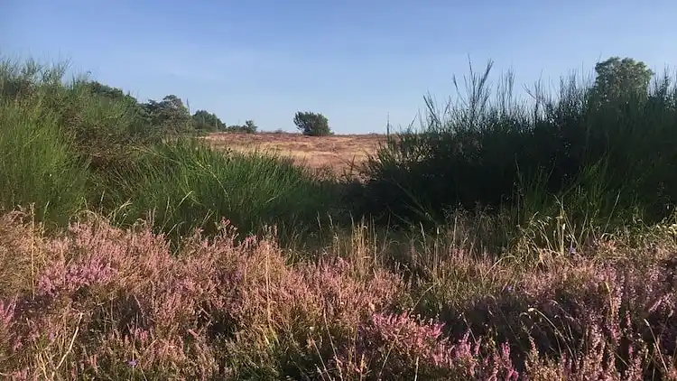 Vakantiehuis in Exloo