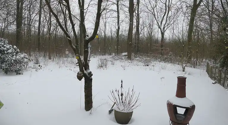 Vakantiehuis in Exloo