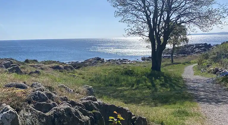 Sommerhus nær vannkanten på Bornholm