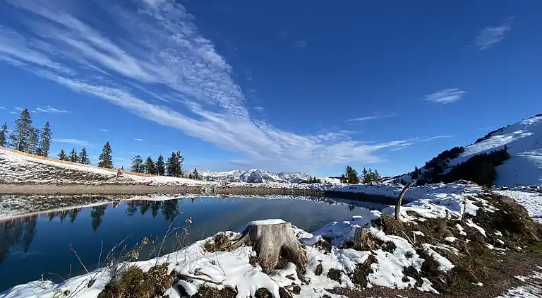 Cottage in Salvenberg