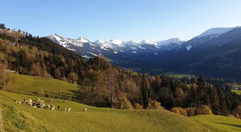 Cottage in Salvenberg