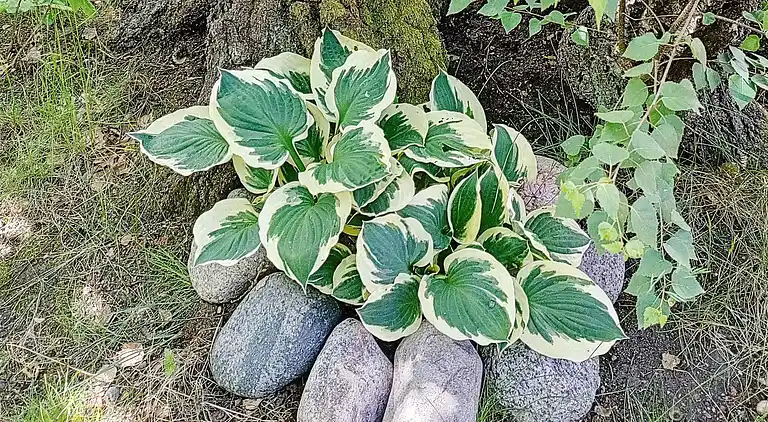 Holiday home in Vaxholm