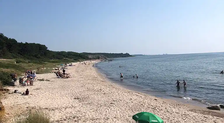 Hyggeligt sommerhus tæt på skov og strand