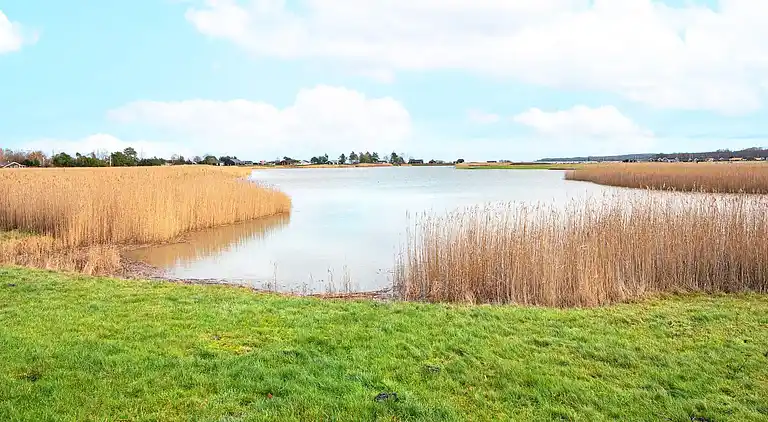 Vakantiehuis in Hvidbjerg Strand