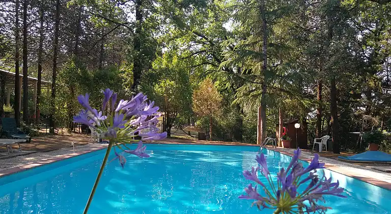 VILLA IN FARMHOUSE with pool