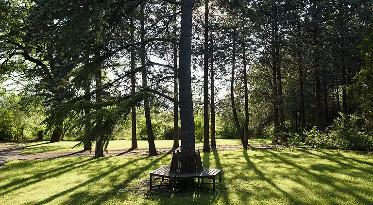 VILLA IN FARMHOUSE with pool