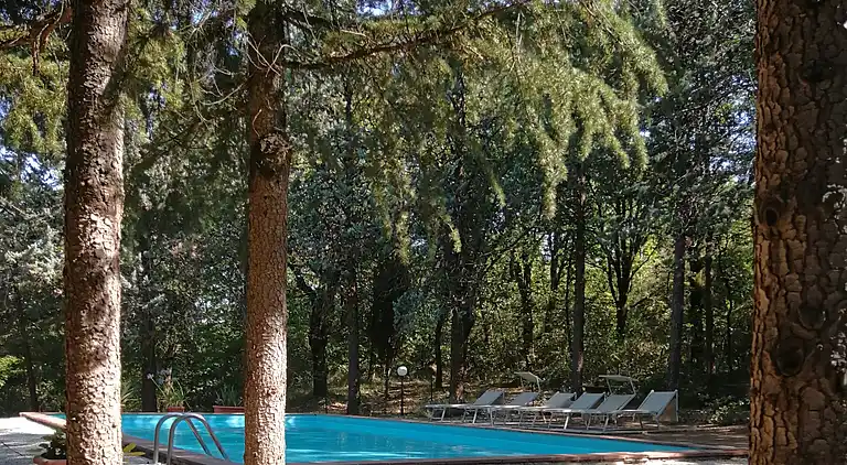 VILLA IN FARMHOUSE with pool