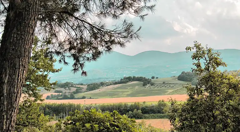 VILLA IN FARMHOUSE with pool