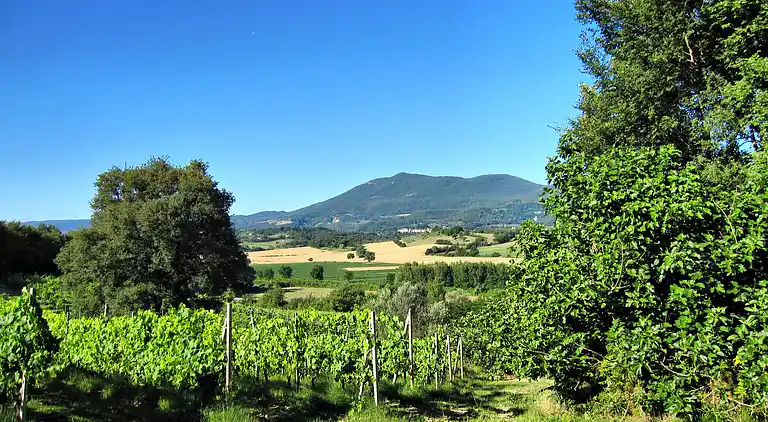 VILLA IN FARMHOUSE with pool