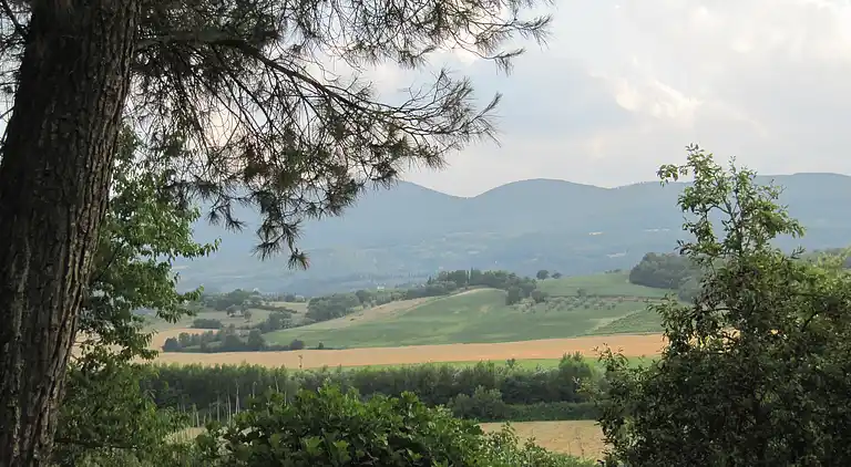 VILLA IN FARMHOUSE with pool