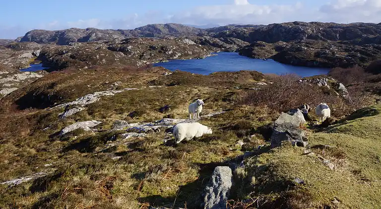 West Horizon, 2 minutes to beach in the beautiful Highlands
