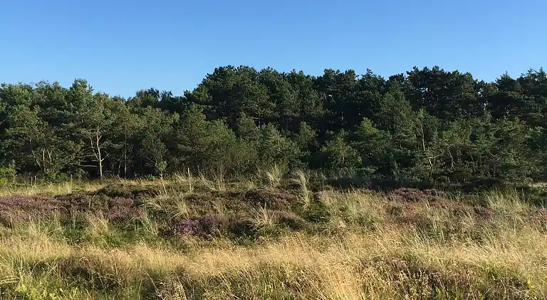 Gemütliches Ferienhaus an einem schönen Strand