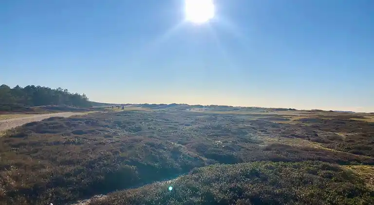 Gemütliches Ferienhaus an einem schönen Strand