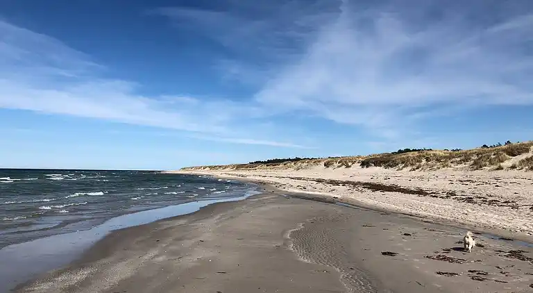 Gemütliches Ferienhaus an einem schönen Strand
