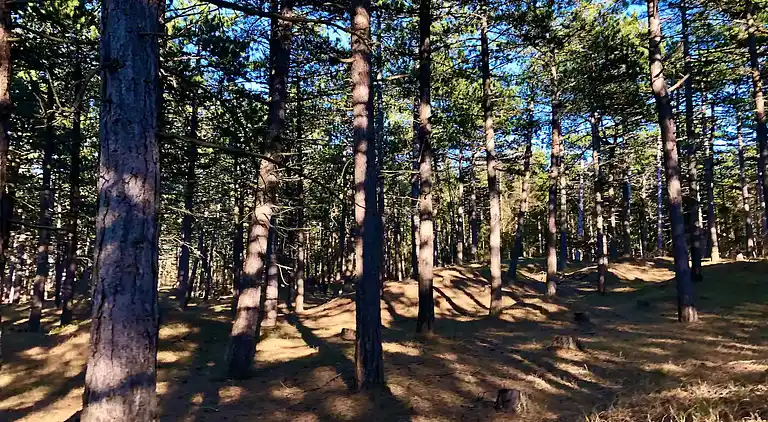 Gemütliches Ferienhaus an einem schönen Strand
