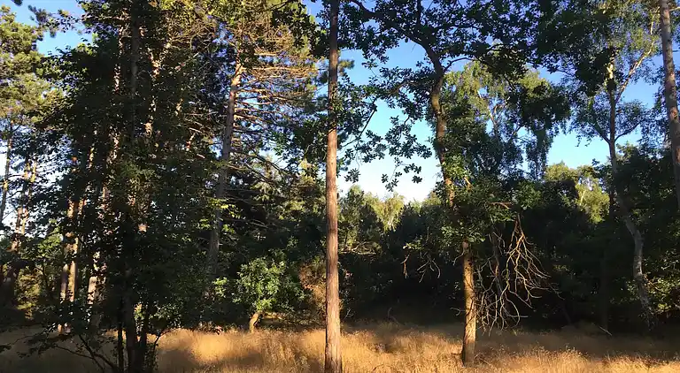 Gemütliches Ferienhaus an einem schönen Strand