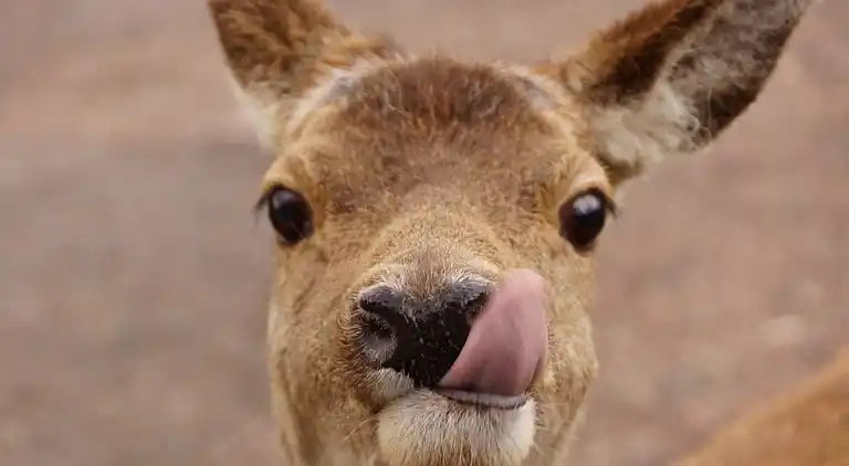 West Horizon, 2 minutes to beach in the beautiful Highlands