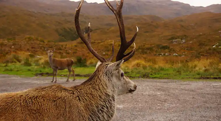 West Horizon, 2 minutes to beach in the beautiful Highlands