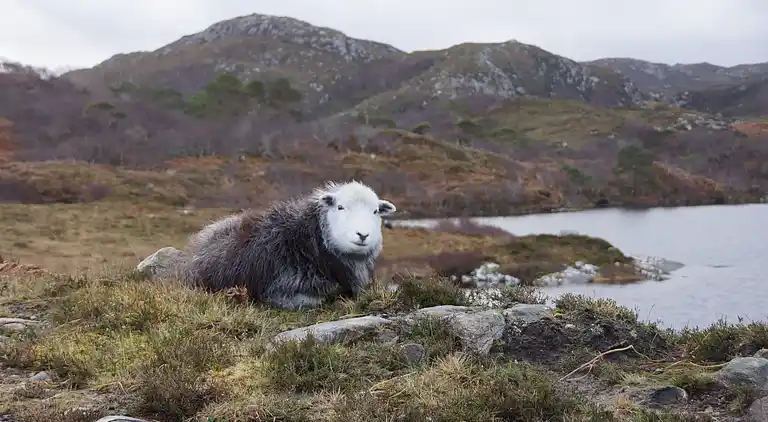 West Horizon, 2 minutes to beach in the beautiful Highlands