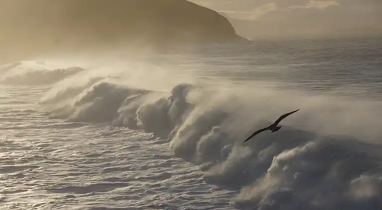 West Horizon, 2 minutes to beach in the beautiful Highlands