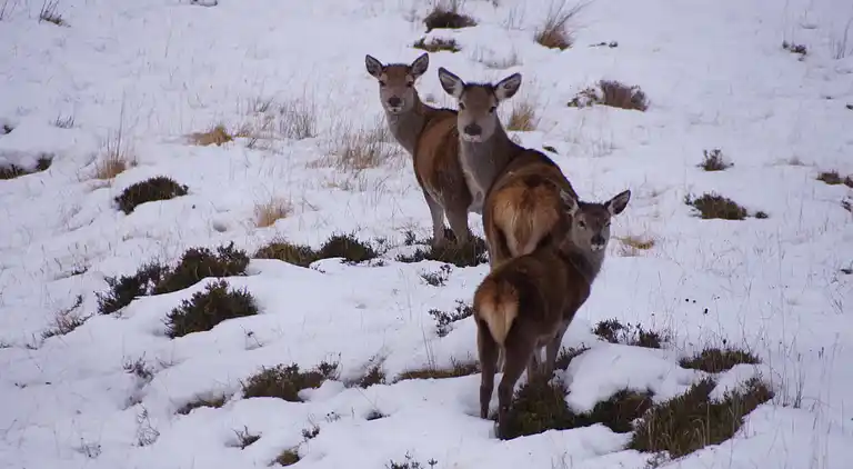 West Horizon, 2 minutes to beach in the beautiful Highlands