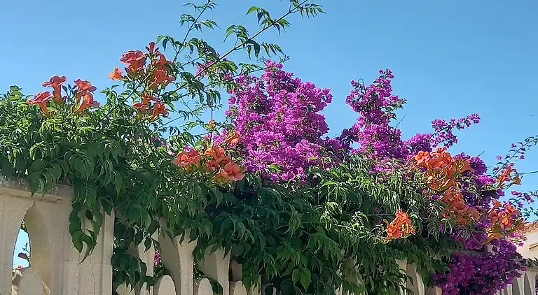 Ferielejlighed i San Pietro in Bevagna