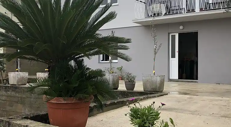 New House for exclusive use, few steps from the sea 