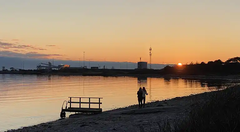 Lyst sommerhus tæt på havet i grønne omgivelser