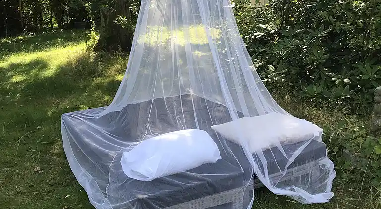 Nyere sommerhus i grønne omgivelser