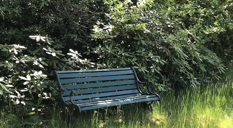 Nyere sommerhus i grønne omgivelser