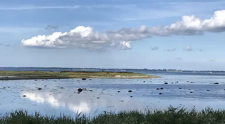 Nyere sommerhus i grønne omgivelser