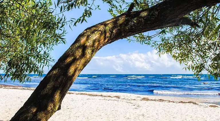 4+2 pers.Lejl.m/havudsigt