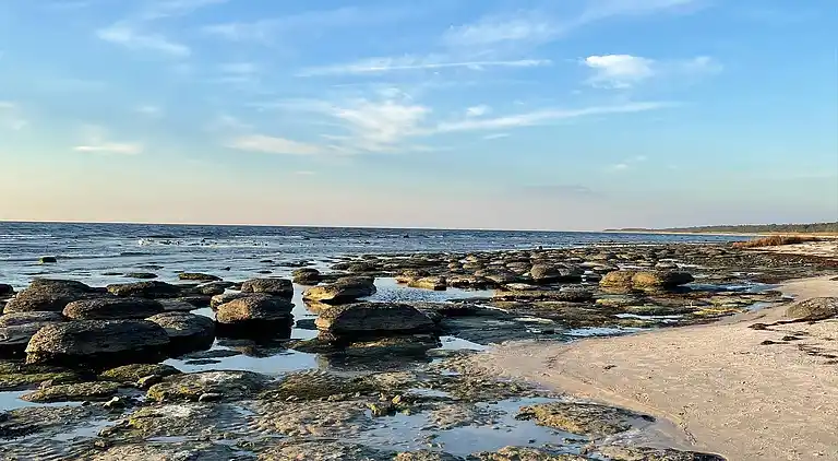 Ferielejlighed i fredelige omgivelser