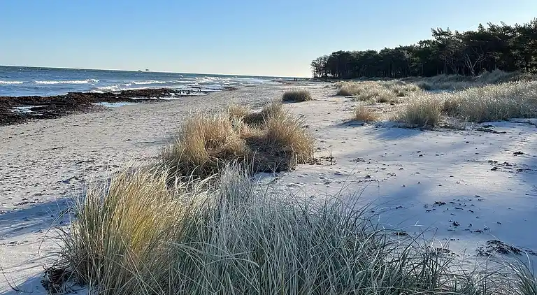 Ferielejlighed i fredelige omgivelser
