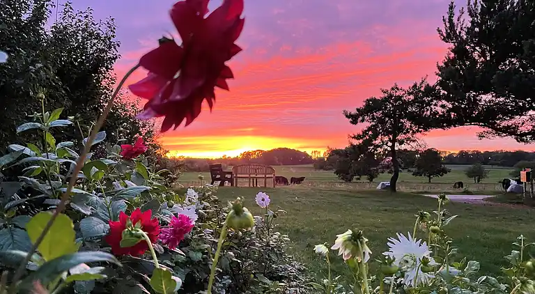 Ferielejlighed i fredelige omgivelser