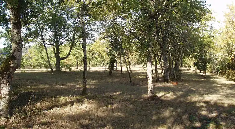 Holiday home in Montcuq