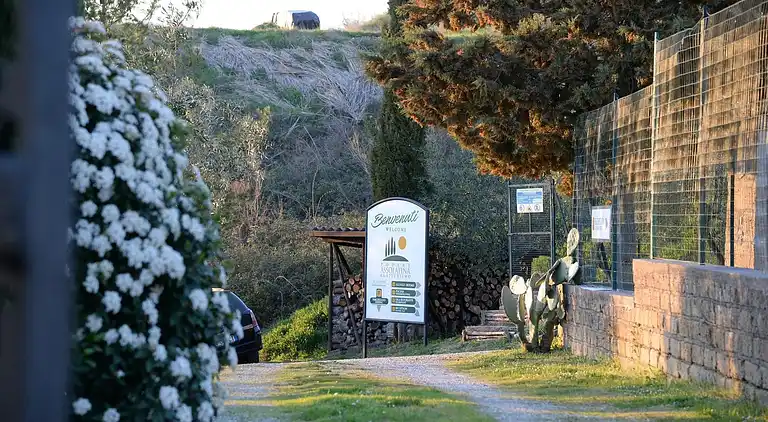 Holiday home in Celle sul Rigo