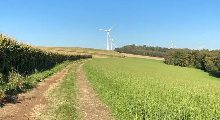 Holiday home in Hastiere