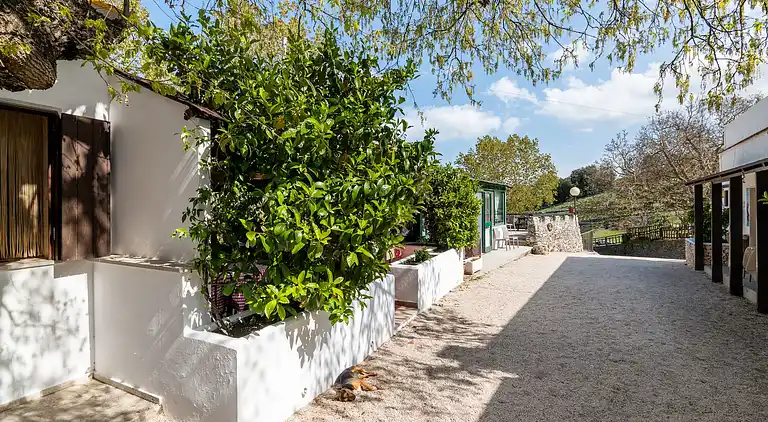 Holiday home in Mattinata